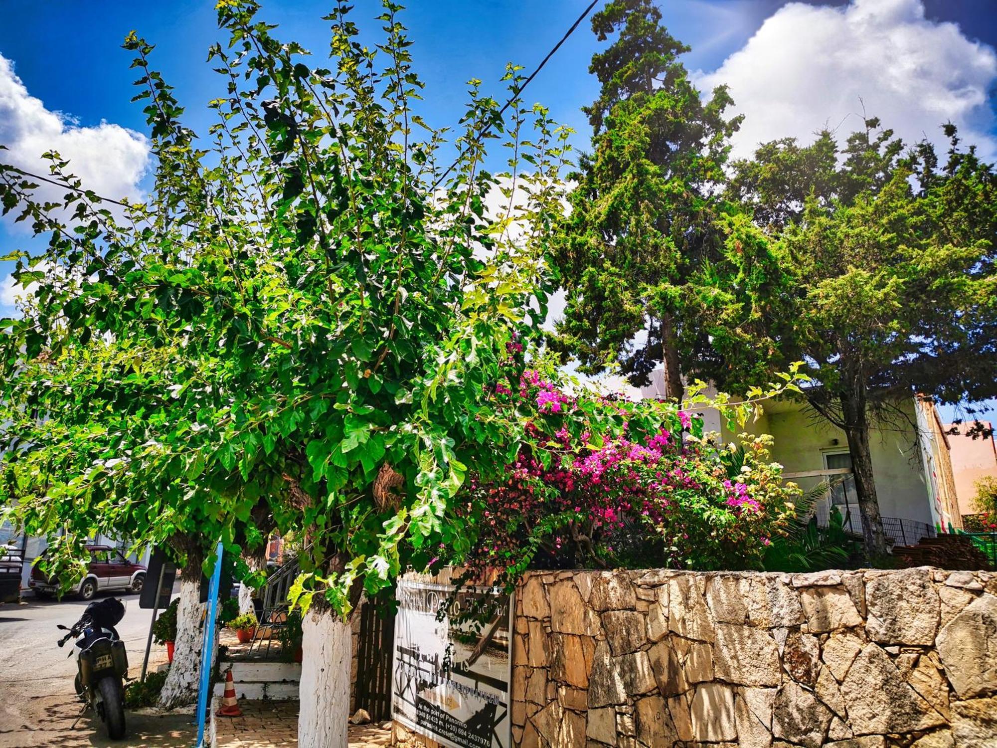 Phaos Residence, Your Stylish Crete Retreat Panormos  Luaran gambar